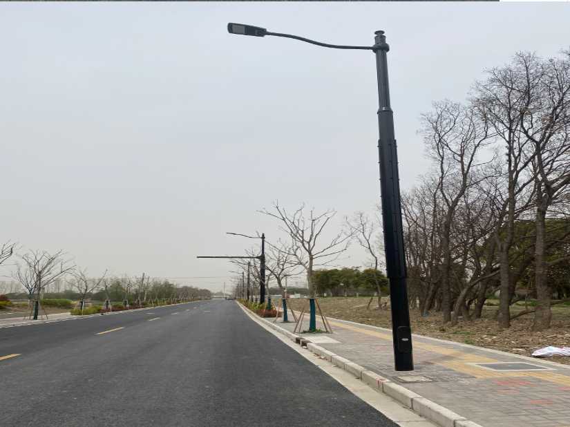 保定上海综合杆 太阳能路灯工程